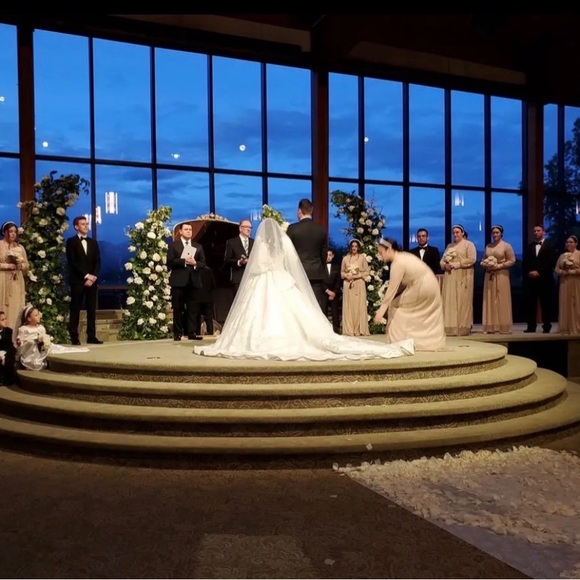 Pearl embedded veil! - Picture 2 of 5